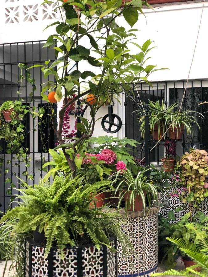 לבריחה Hostal Mellizo מראה חיצוני תמונה